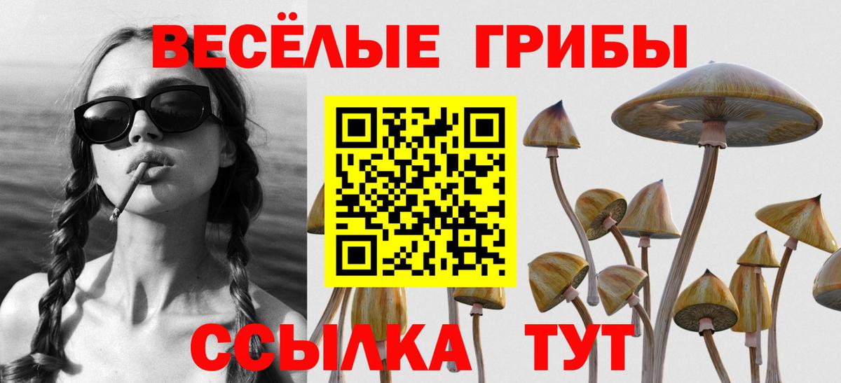 Псилоцибиновые грибы мухоморы Моздок