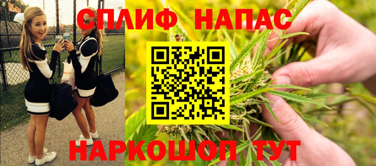 Шишки марихуана план Моздок